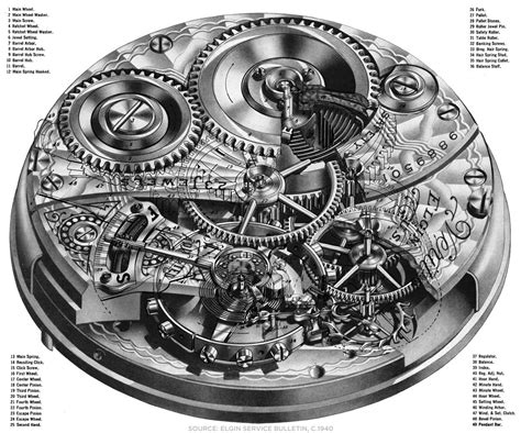 anatomy of a pocket watch.